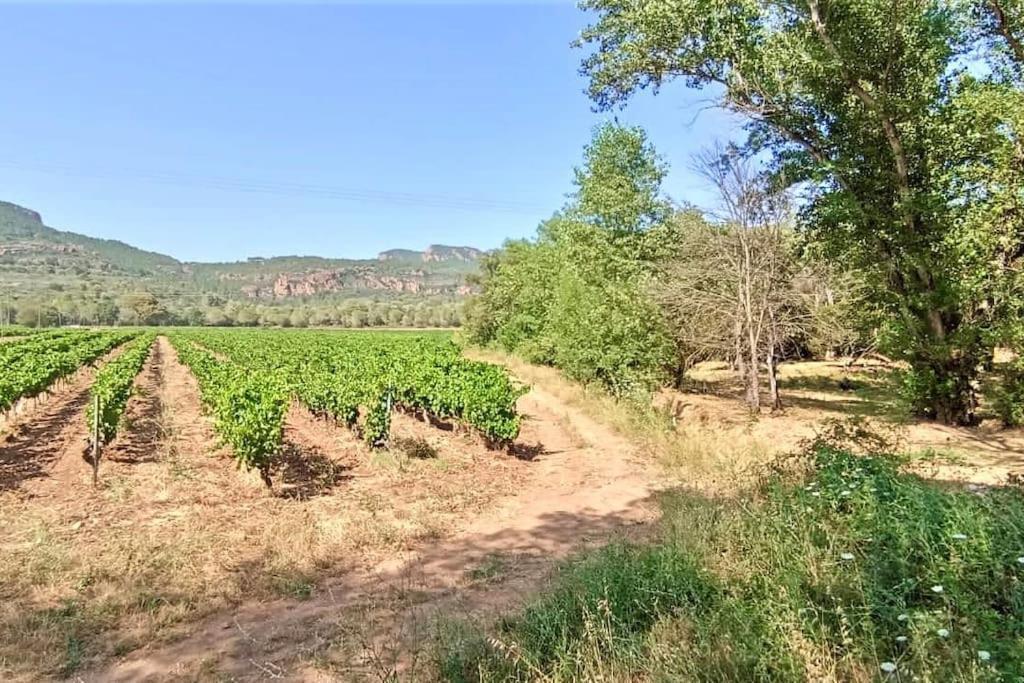 Superbe Villa Cadre Campagne Roquebrune-sur Argens Exterior foto